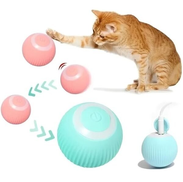 530_sp24249_pet_teasing_ball_main_image.jpg
